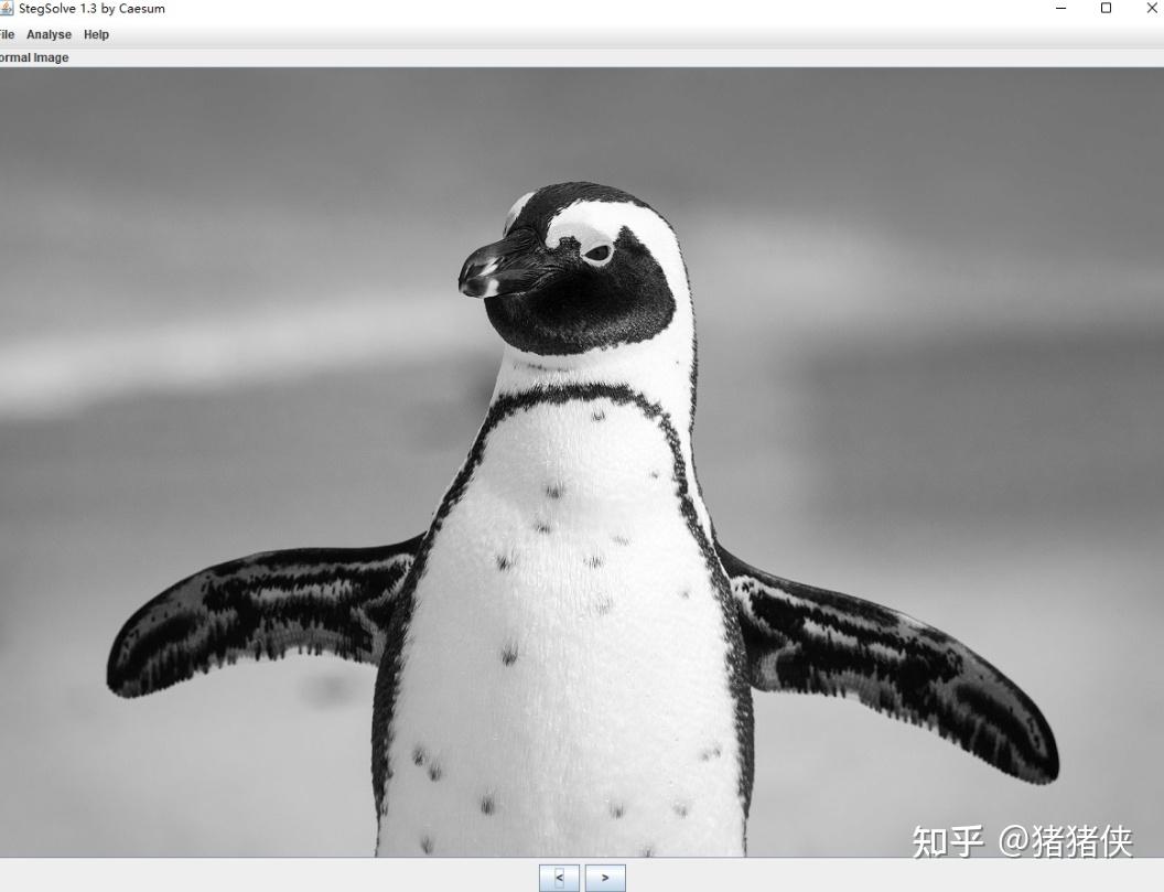 有趣的图片隐写术，如何发现图片中更多的秘密？ | CTF技巧 - 知乎