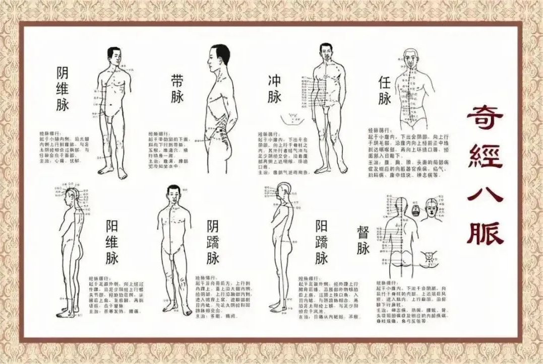 中医| 针灸:任脉简介及任脉的8个穴位 - 知乎