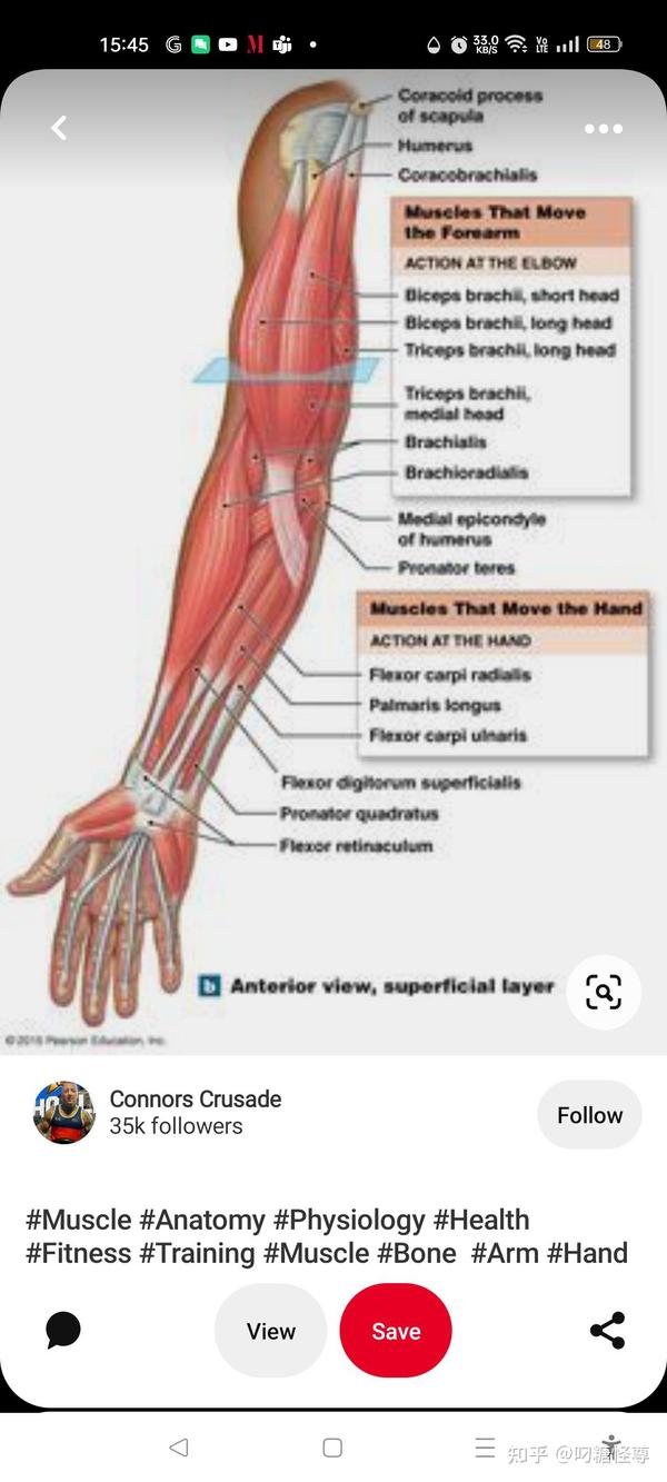 Developing Strength & Stability in the Foot, Ankle, and Lower Leg —  Mountain Peak Fitness