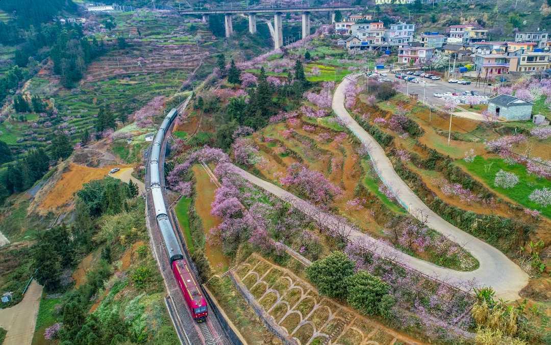 3月1日,乌蒙大山深处的水红线(贵州六盘水至红果)上行驶的列车.
