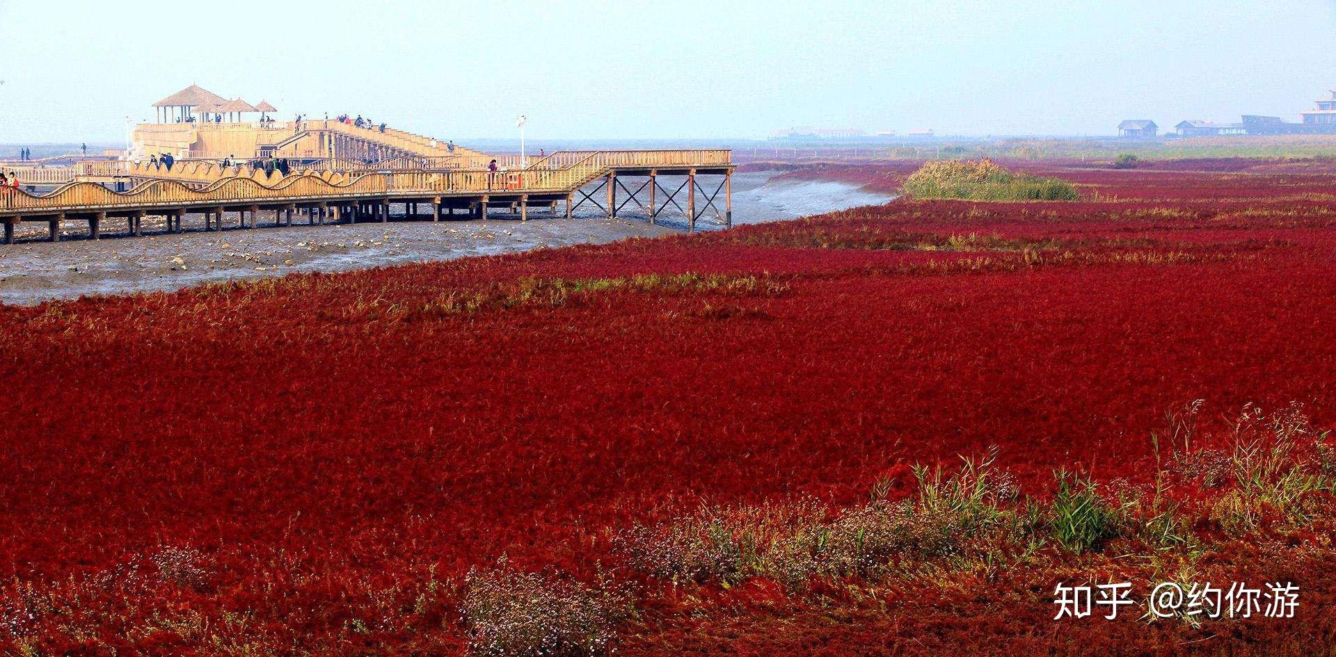 天下奇观红海滩地球唯一的红色海岸秋天最美的血色浪漫