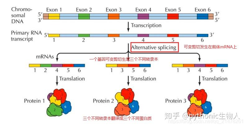 Omics精进09|mRNA生信分析常规流程 - 知乎