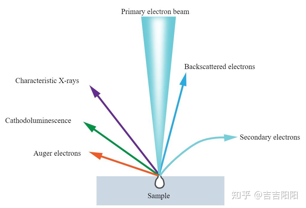 SEM扫描电子显微镜基本知识以及使用方法 - 知乎