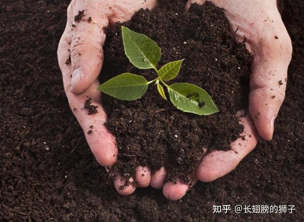 【上古神物】一种可以自动生长的神奇土壤——息壤 - 知乎