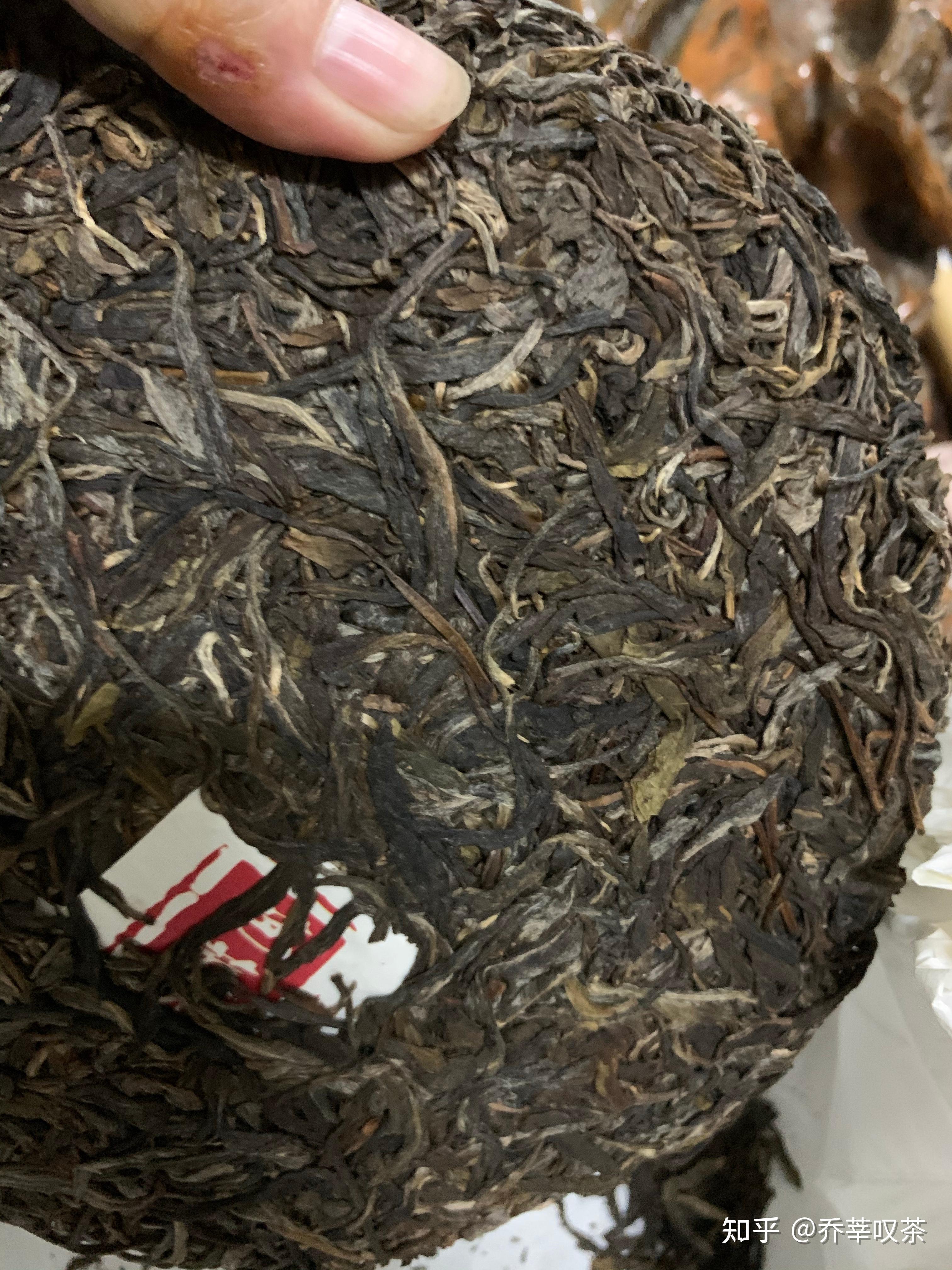 易武芭蕉林2021高山寨早春乔木大树茶