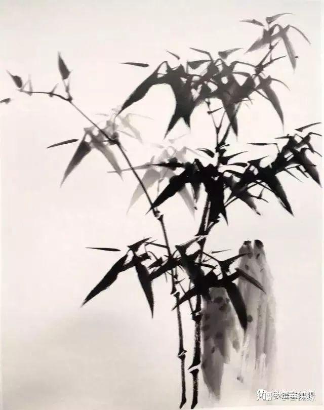 v2-035034310f9d99a5da2812b46e1a529a_r.jpg