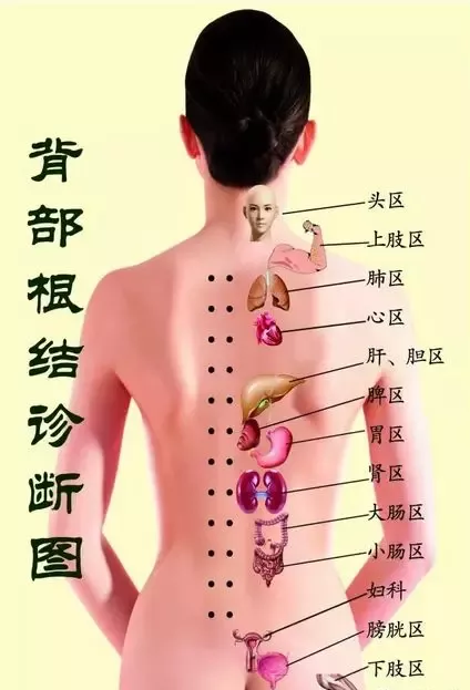 背诊 一看就懂 一学就会 知乎 背诊 一看就懂 一学就会 知乎