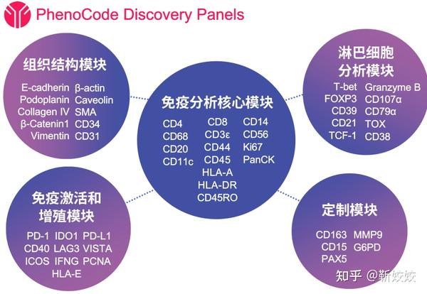 Visiopharm数字病理分析软件助力空间多组学分析肿瘤免疫微环境 - 知乎