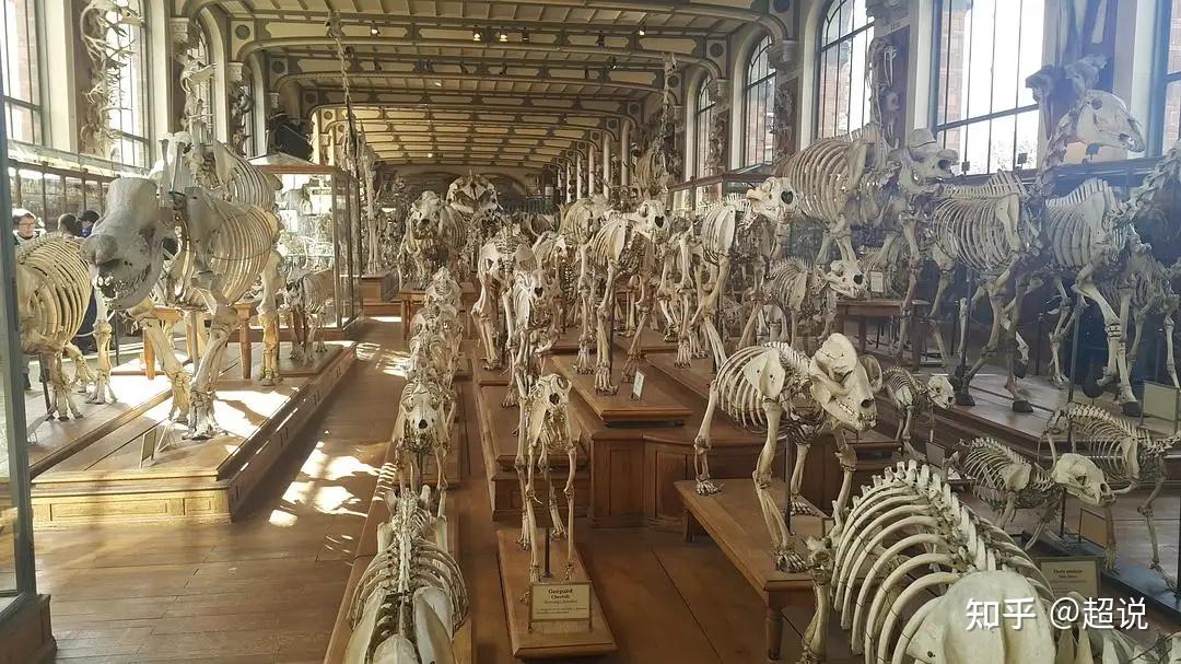 世界著名博物馆——法国国家自然博物馆(法国) 知乎