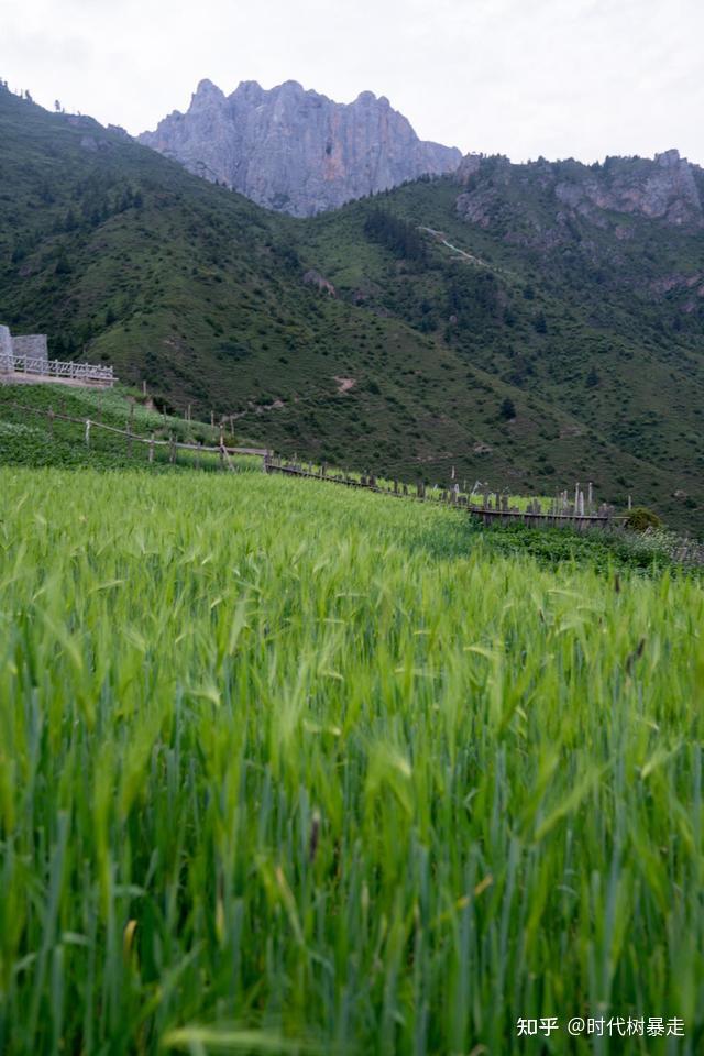 最美的高原风景不在西藏不在四川竟然就在甘肃南部