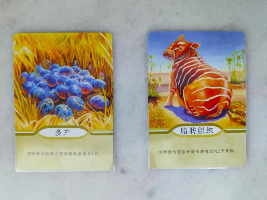 桌游测评万物有灵野蛮生长物种演化起源