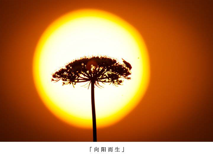 v2-03a6441c473db7177a71464869e95afe_1440w.jpg?source=172ae18b