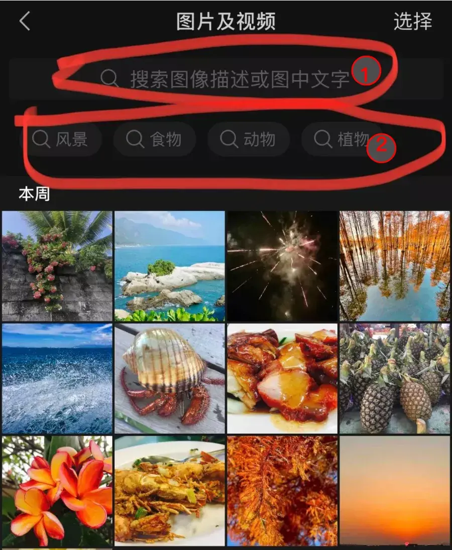 怎么快速搜索到微信聊天记录中的图片视频这样搜索快得很