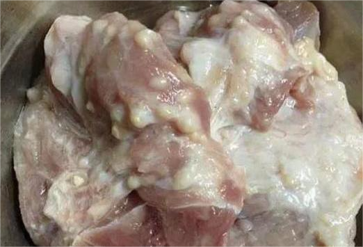 猪肾和猪肺——尽量不要吃猪肾是一个排泄器官