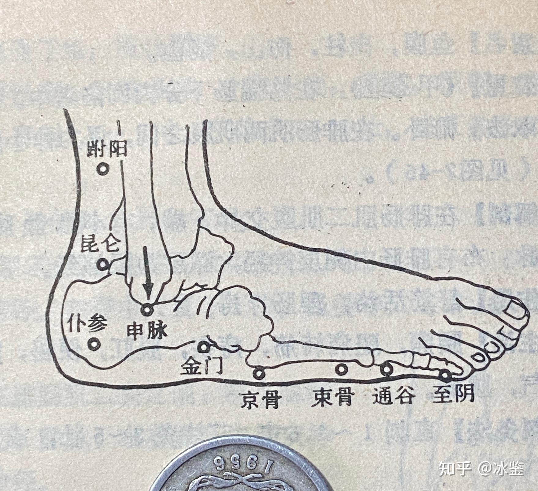 附註;本穴是陽蹺脈的郄xì穴.