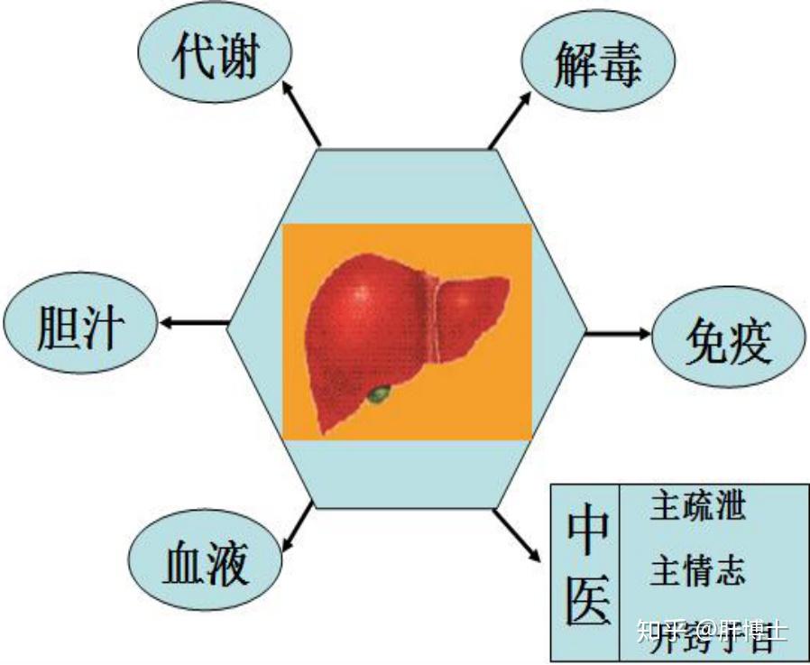 下面把最常見的