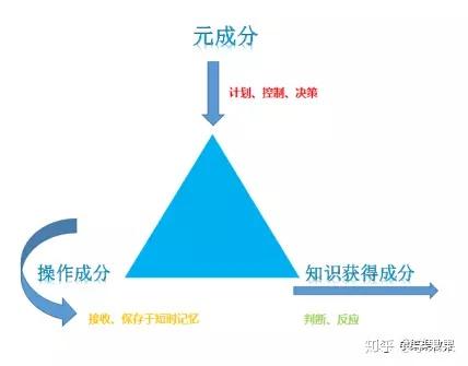 三元智力理论图片