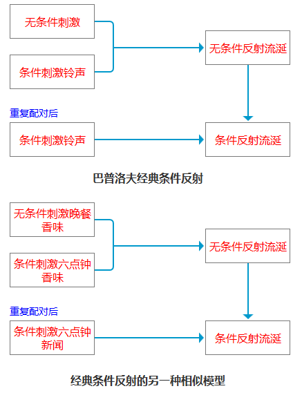 经典条件反射的两种模型1 行为学习强化:强化增强了由特别的提示或者