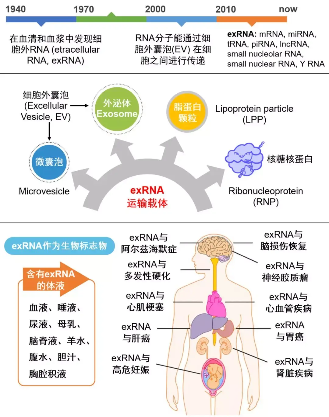 多篇Cell聚焦 | 细胞外RNA知多少——3张图带你认识exRNA和ERCC - 知乎