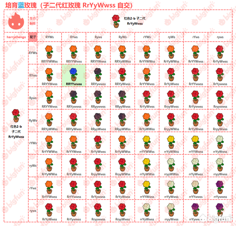 动森玫瑰杂交基因表图片