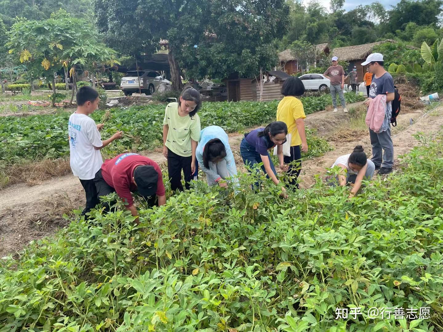 開展中學生學農教育實踐活動讓學生在勞動中體驗人生