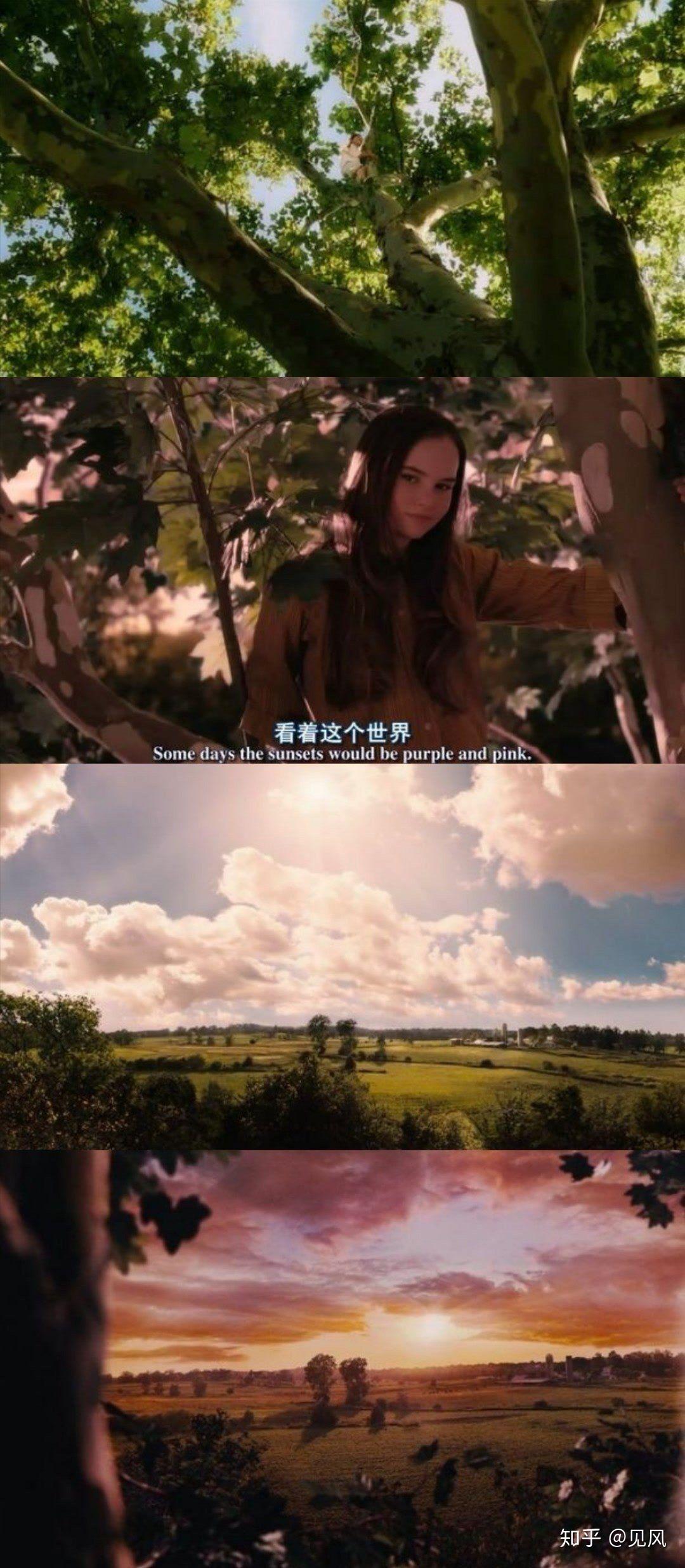 怦然心动斯人如彩虹遇上方知有