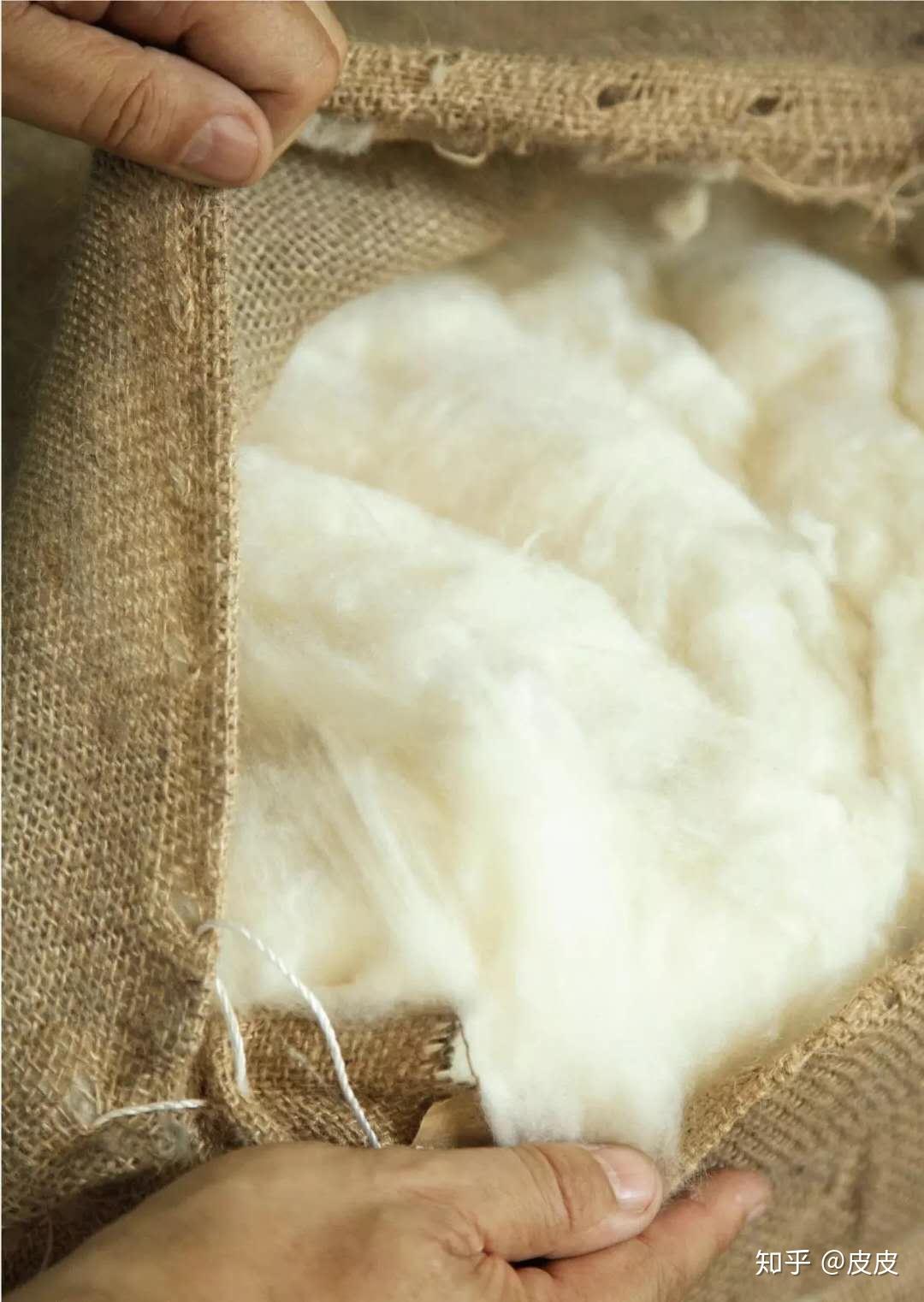 山羊绒最初的美 - 知乎