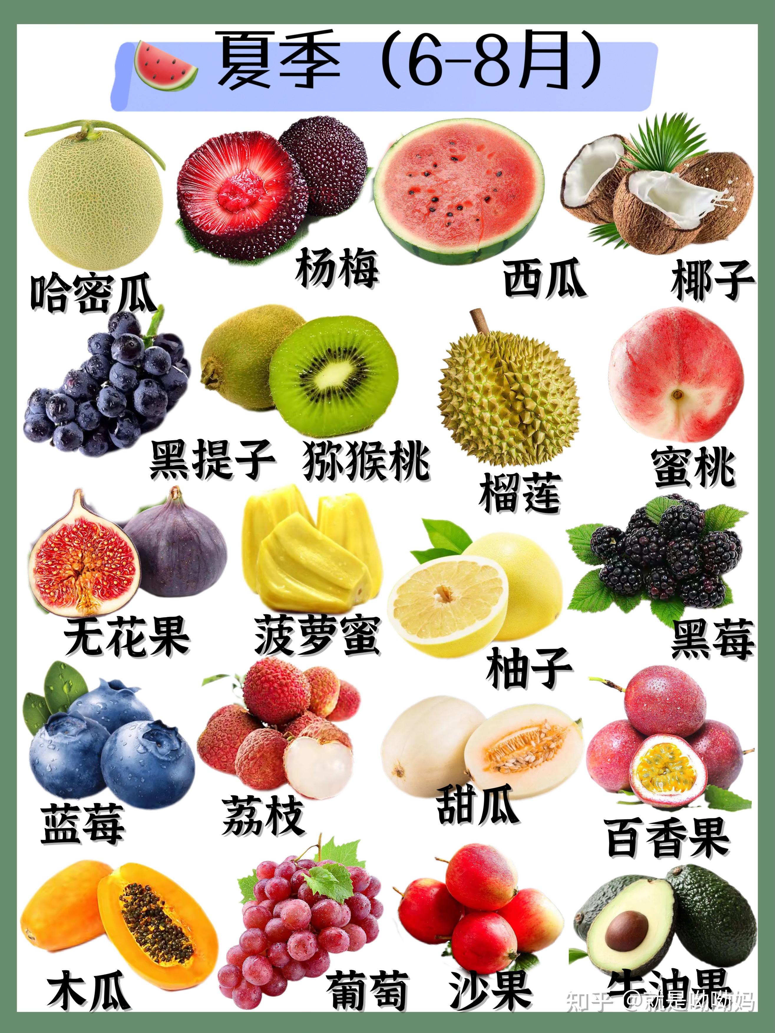 杨梅 西瓜 椰子 黑提子 猕猴桃 榴莲 蜜桃  无花果 菠萝蜜 柚子  黑莓