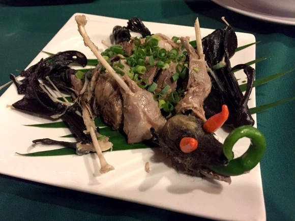 病毒是不是武汉人吃蝙蝠引起的(求辟谣)?