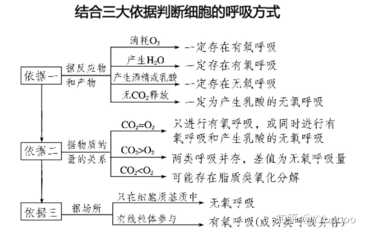 生物一4細胞物質輸入和輸出思維導圖梳理