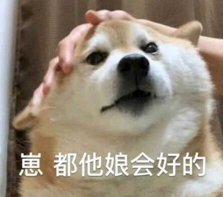 沙雕怂人文案,沙雕怂人文案怎么写