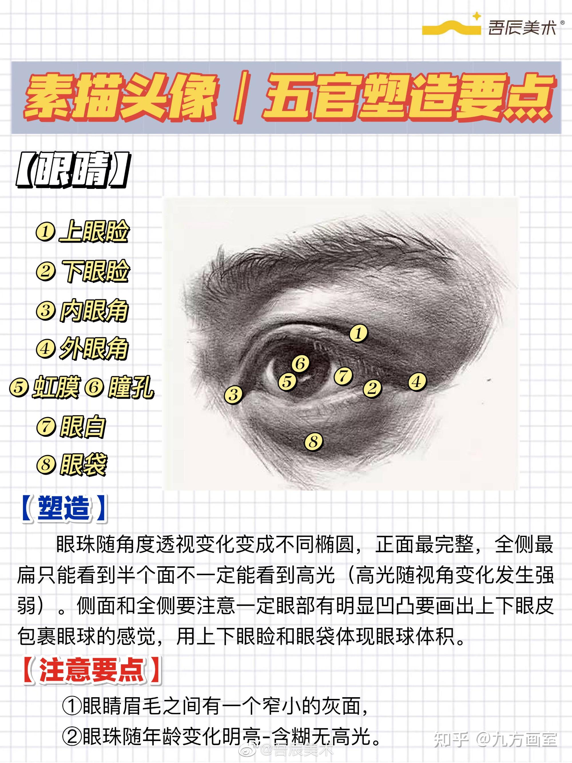 五张图让你快速理解五官|五官结构干货 - 知乎