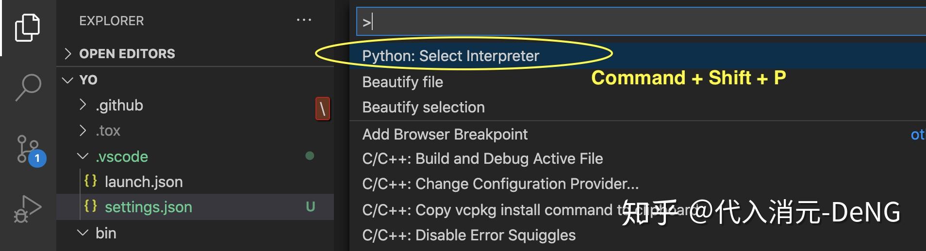 vs-code-python