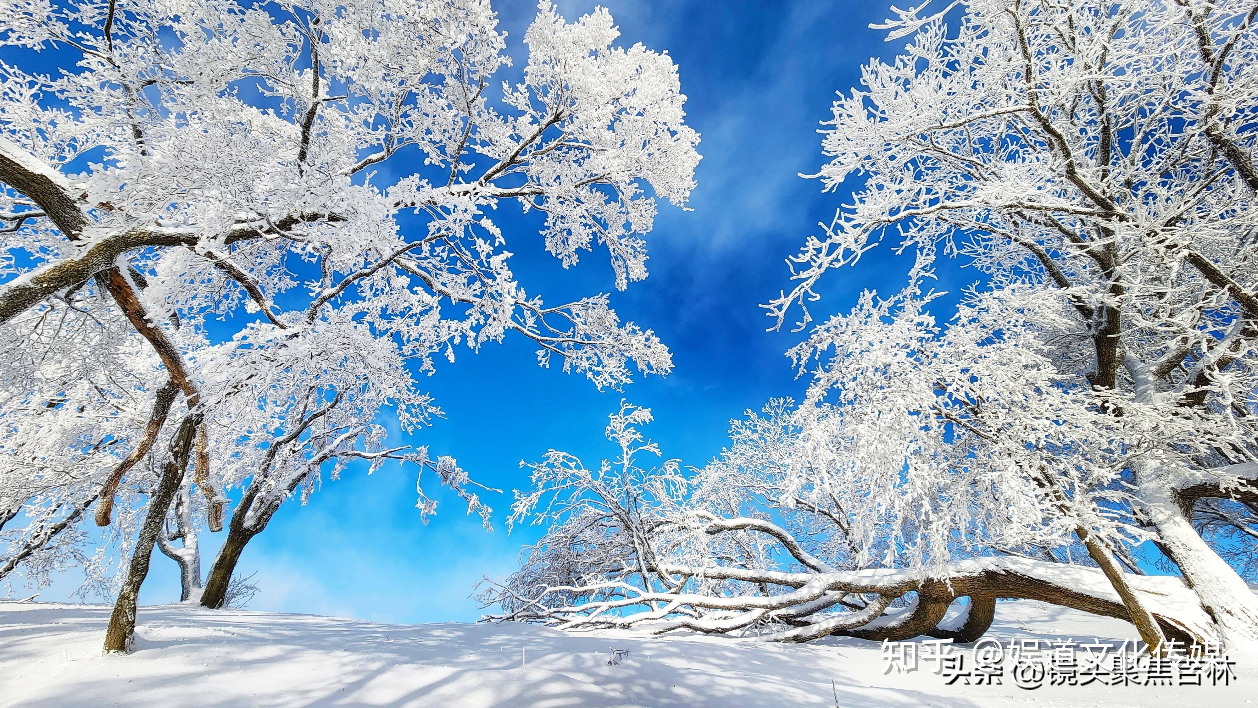 吉林通化四方山雾凇美景醉人 宛若仙境