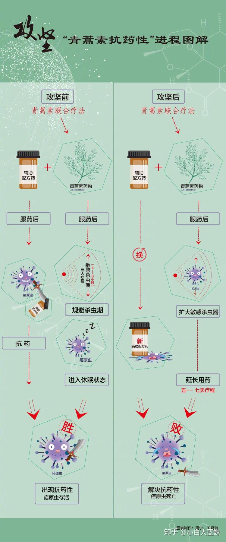 青蒿素手抄报图片