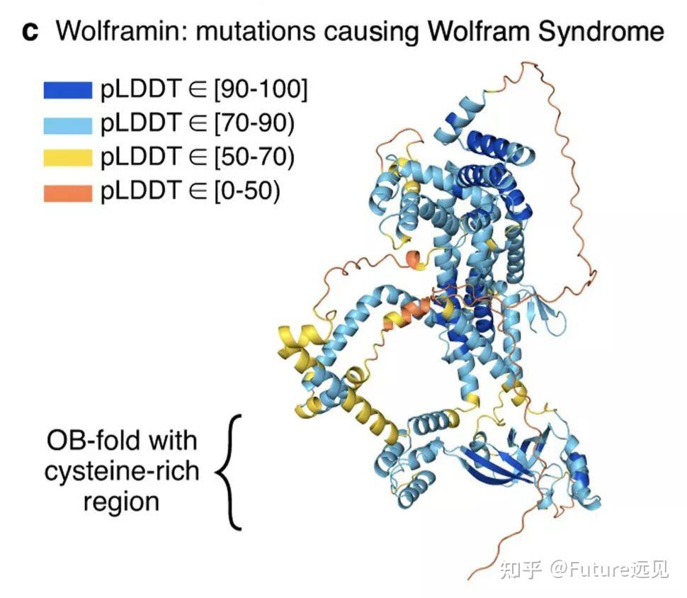 AlphaFold2 再登 Nature，从业者都懵了：人类98.5%的蛋白质，全都被预测了一遍 | Future
