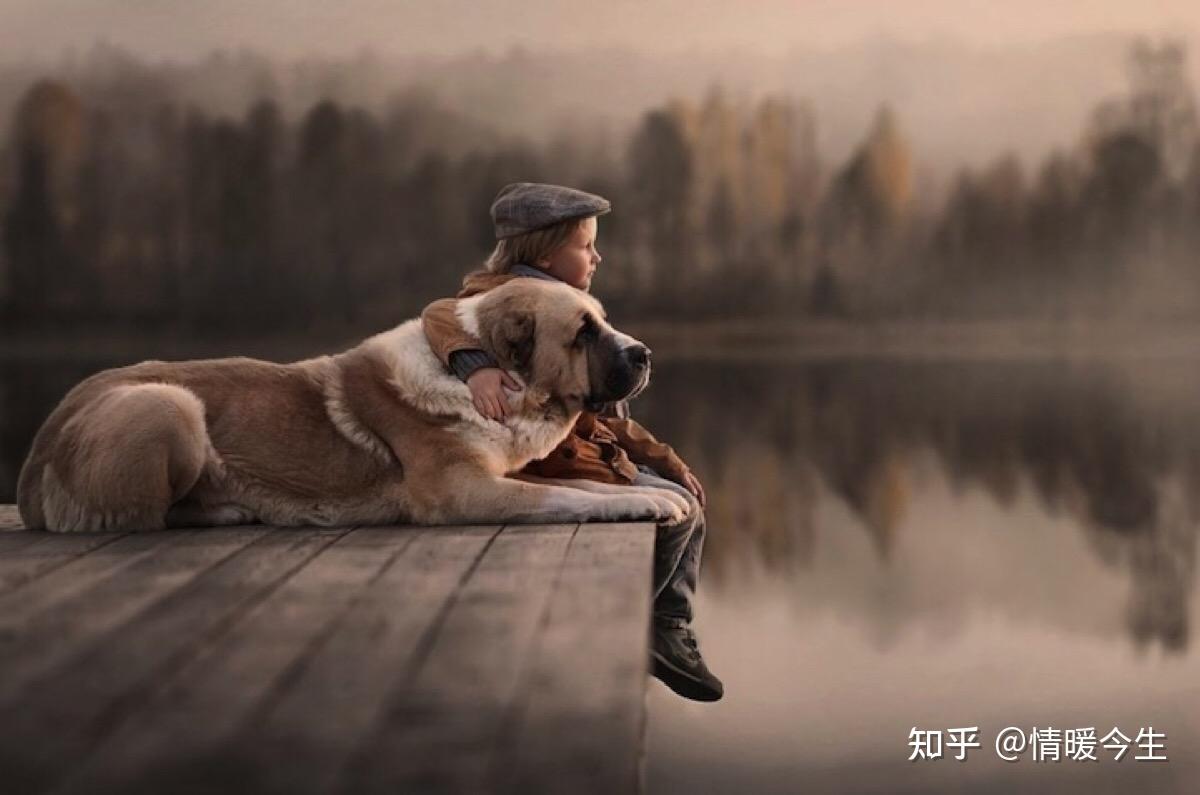 跨越生死的温情，梦中公公接引流产后的心灵慰藉