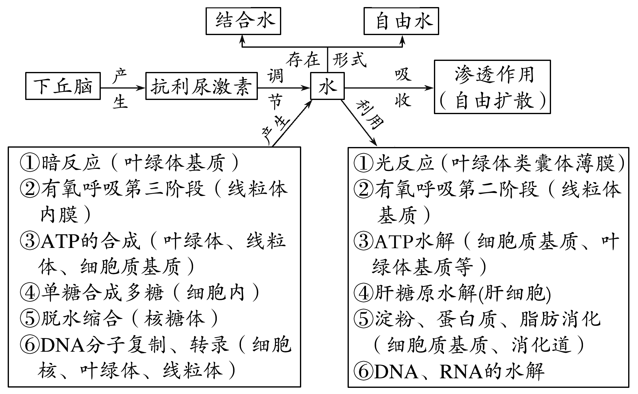 4.细胞中的无机盐