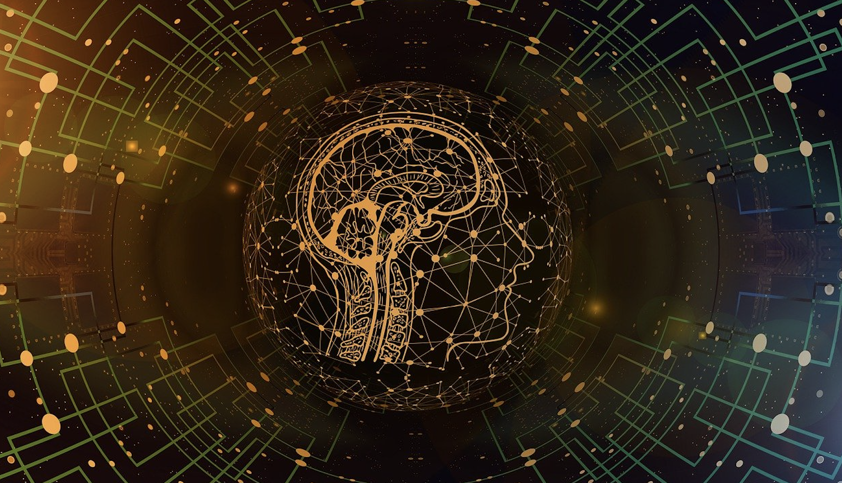 思维上的全局:应用的种类