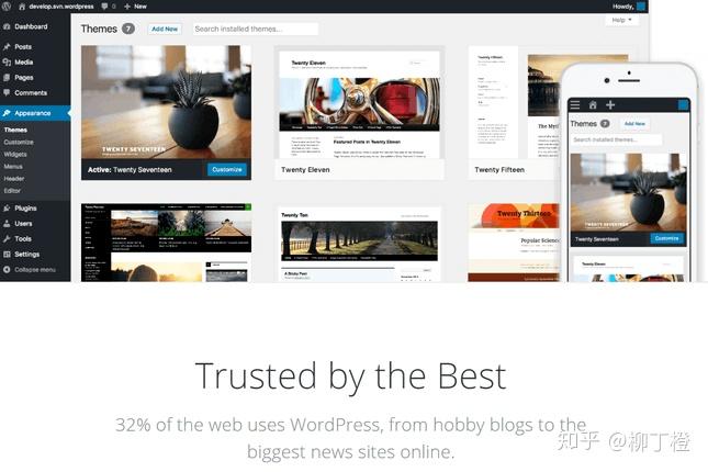WordPress与Squarespace，它们之间有哪些关键差异？