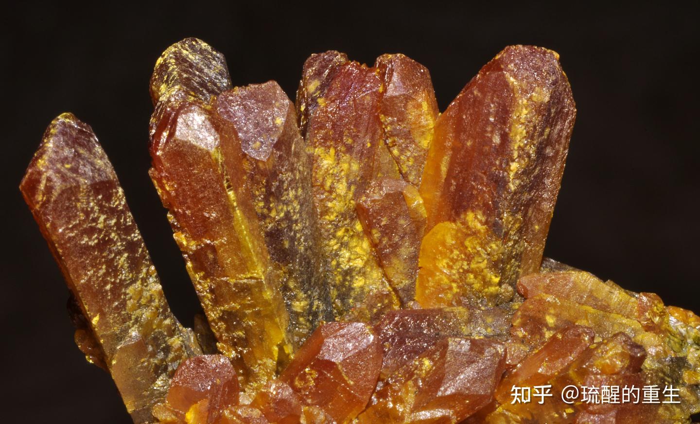 颜色的历史:橙色的西方艺术小史 - 知乎