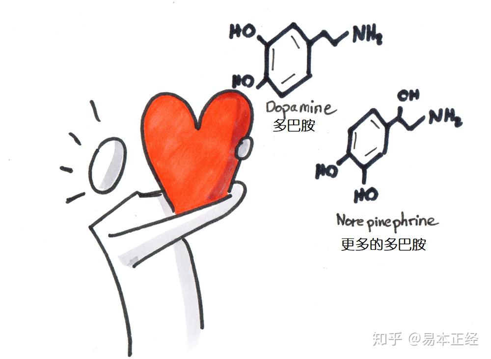 这是因为在恋爱的早期阶段,大脑会释放一些化学物质,包括多巴胺