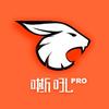 嘶吼RoarTalk