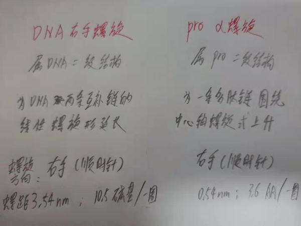 复习 生化 核酸 1 知乎