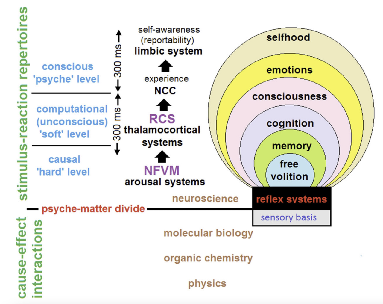 2022 年意识科学十大主题焦点与研究进展 - 知乎