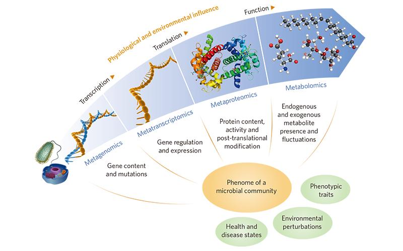 代谢组学难？这篇入门科普给你整的明明白白 - 知乎