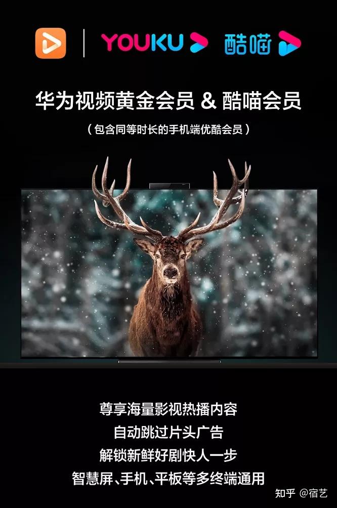 petal one的创新护城河