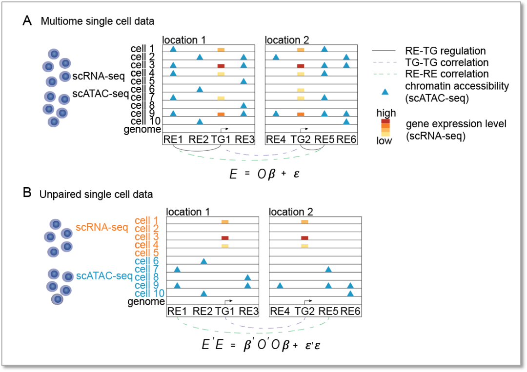 Genome Biol︱都仁扎那团队开发单细胞多组学数据整合新方法 - 知乎