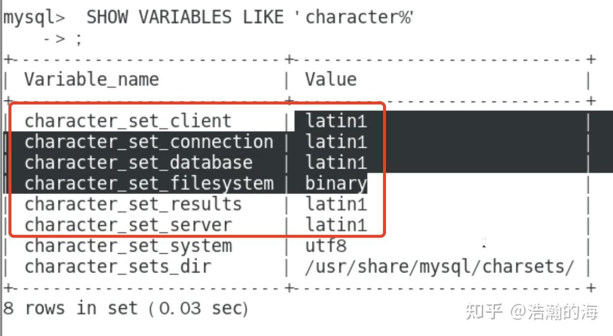 Docker Environment Variables Special Characters