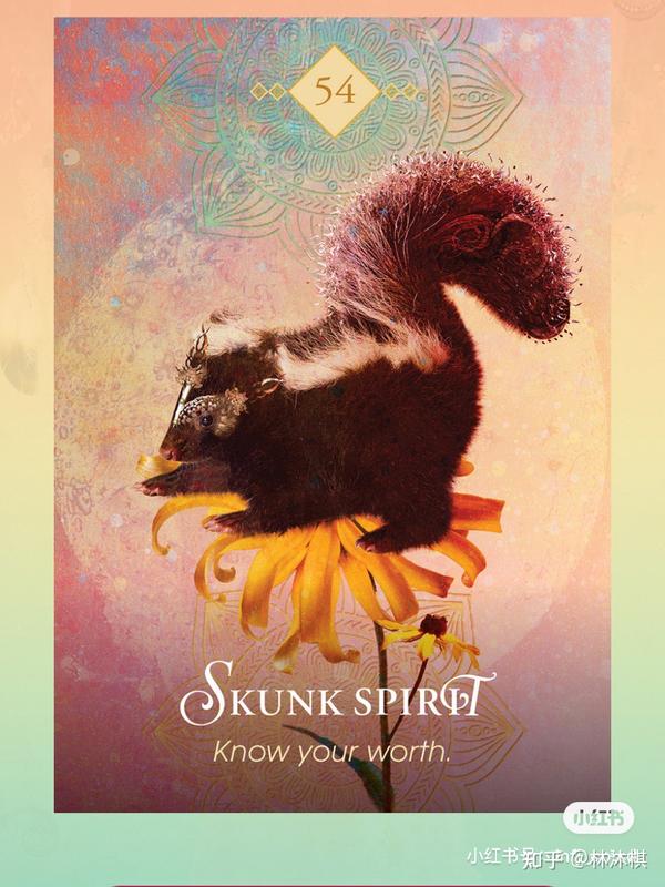 动物神谕卡- Skunk spirit 值得感- 知乎 动物神谕卡- Skunk spirit 值得感- 知乎